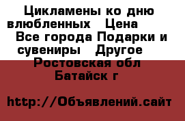 Цикламены ко дню влюбленных › Цена ­ 180 - Все города Подарки и сувениры » Другое   . Ростовская обл.,Батайск г.